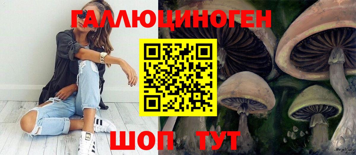 Псилоцибиновые грибы мухоморы  Вход с VPN  Галлюциногенные грибы Cubensis  наркота  Волоколамск 