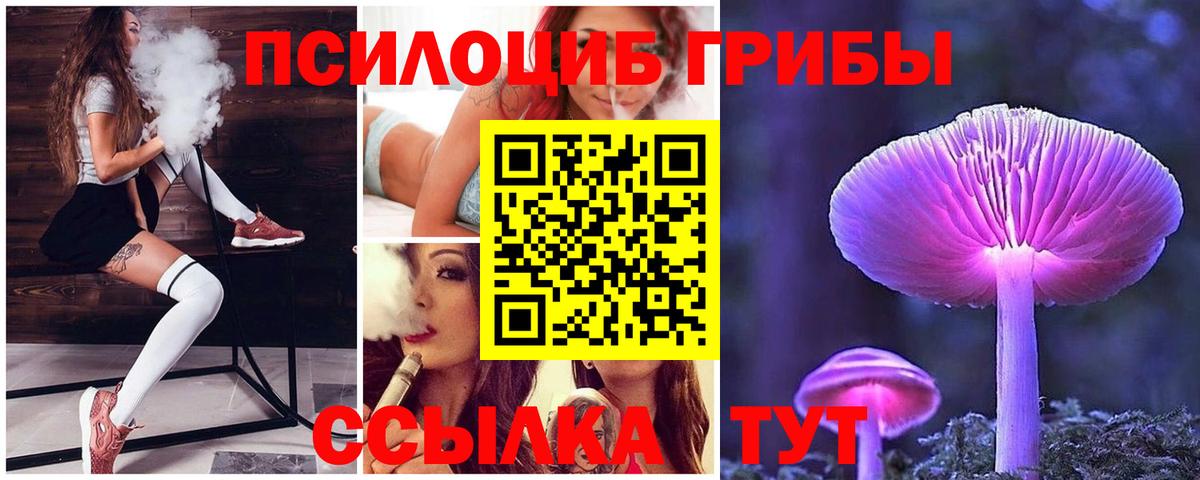 Псилоцибиновые грибы мицелий Волоколамск